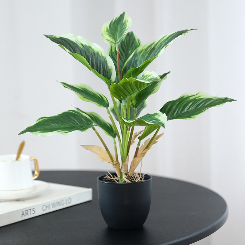 Bonsai Garden Layout - Simulatie Groene Planten Pothos Potplanten voor