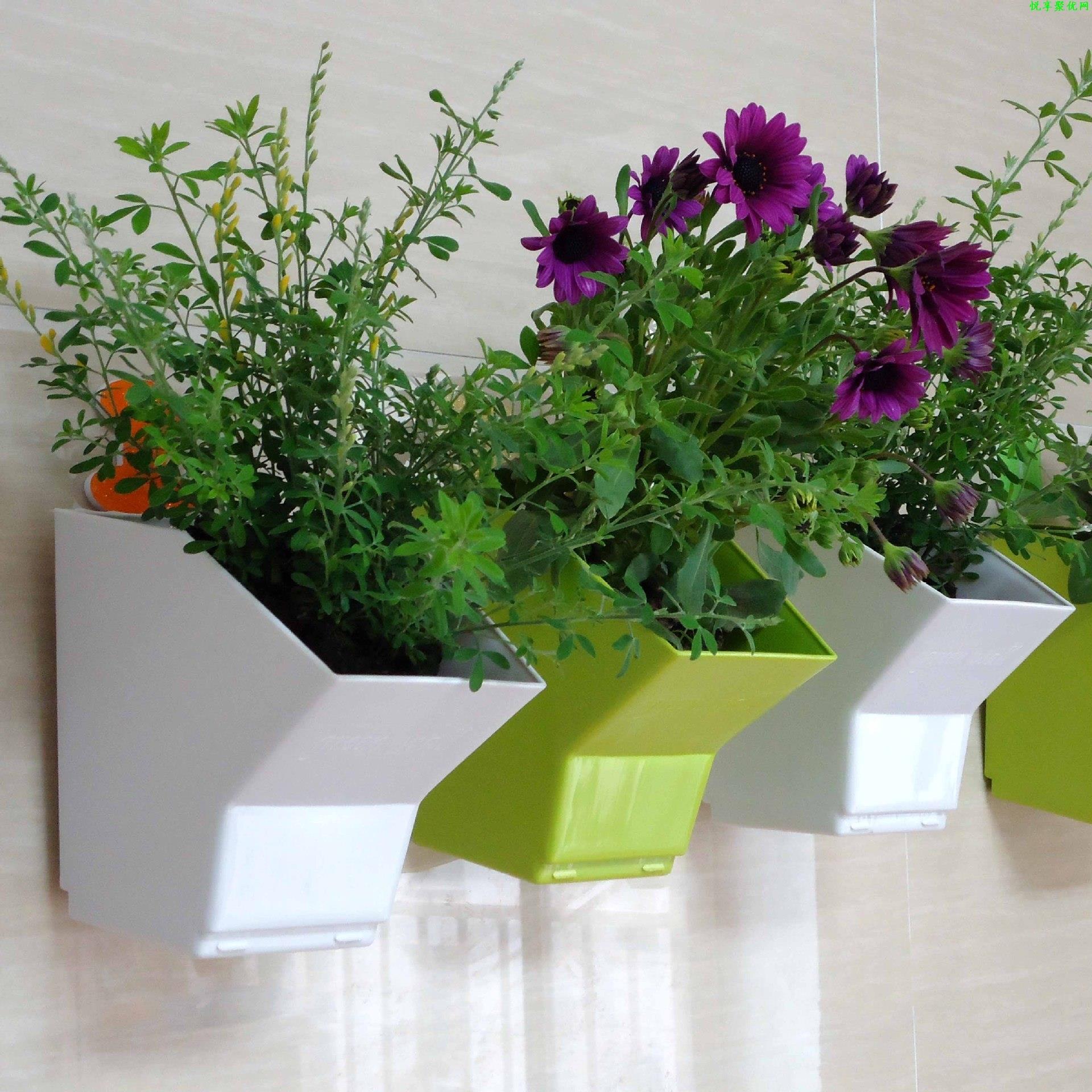2-delige muurhangende plantenb - Bonsai Garden Wall recensie en prijs
