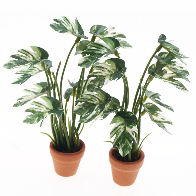 -Hot Sale 1/12 Poppenhuis Simu - Bonsai Garden For Sale recensie en prijs
