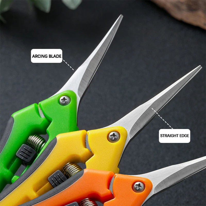 6,5-inch snoeischaar voor plan - Bonsai Garden Timings recensie en prijs