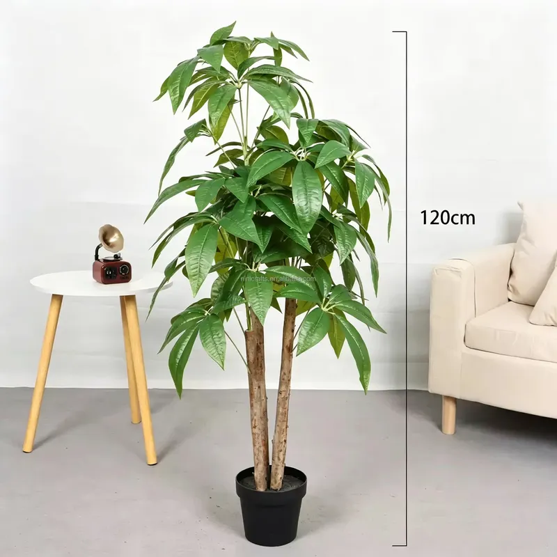 Hete Aanbieding Scandinavische - Bonsai Garden For Sale recensie en prijs