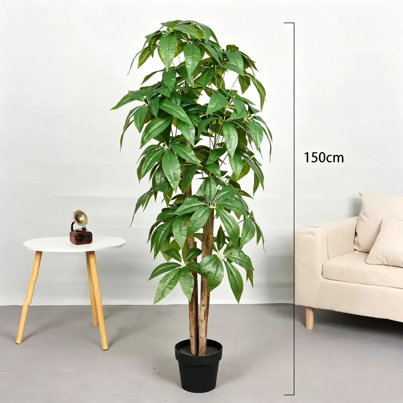 Hete Aanbieding Scandinavische - Bonsai Garden For Sale recensie en prijs