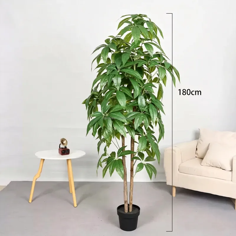 Hete Aanbieding Scandinavische - Bonsai Garden For Sale recensie en prijs
