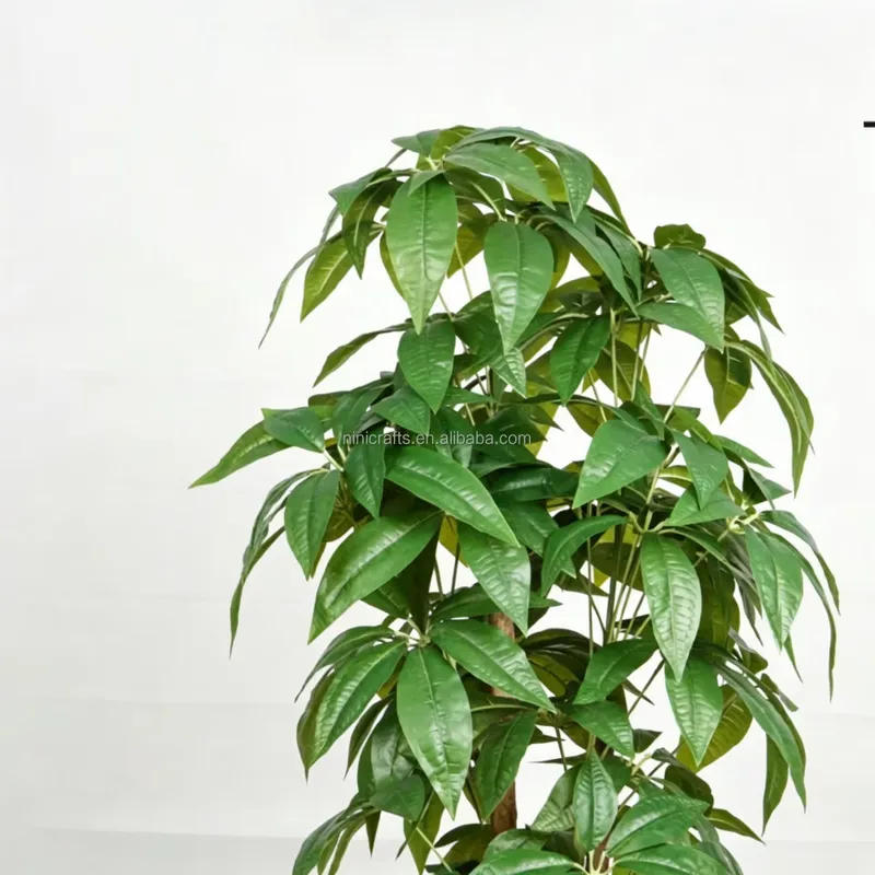 Hete Aanbieding Scandinavische - Bonsai Garden For Sale recensie en prijs