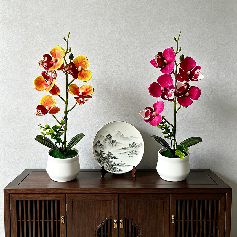 5 Bloemen Vlinderorchidee Gesi - Bonsai Garden Layout recensie en prijs