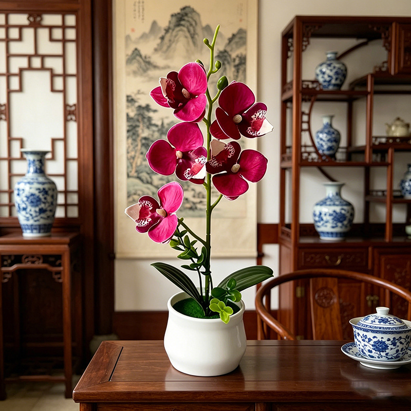 5 Bloemen Vlinderorchidee Gesi - Bonsai Garden Layout recensie en prijs