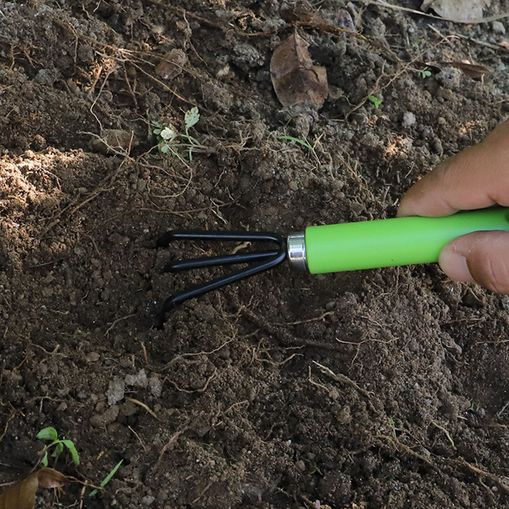1 Set Mini Tuiniergereedschaps - Bonsai Garden Grow Kit recensie en prijs