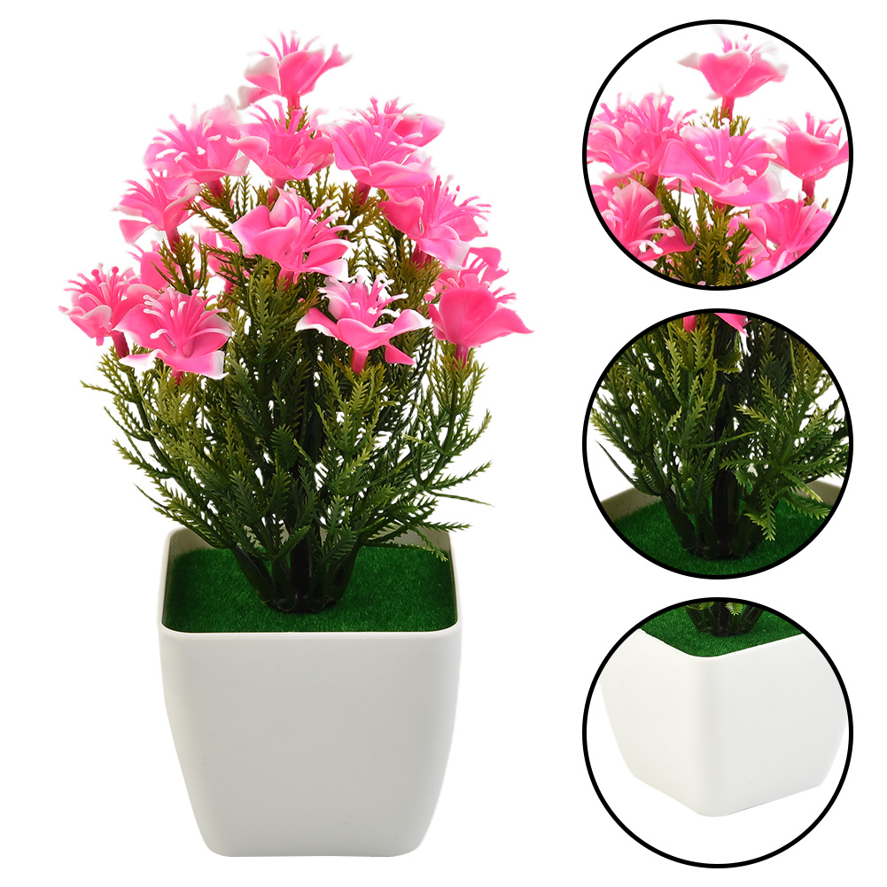 Hete Aanbieding Nieuwe Accesso - Bonsai Garden For Sale recensie en prijs