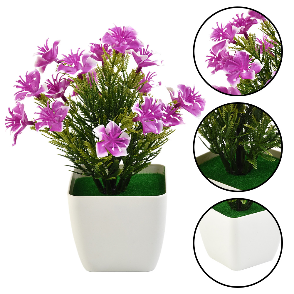Hete Aanbieding Nieuwe Accesso - Bonsai Garden For Sale recensie en prijs