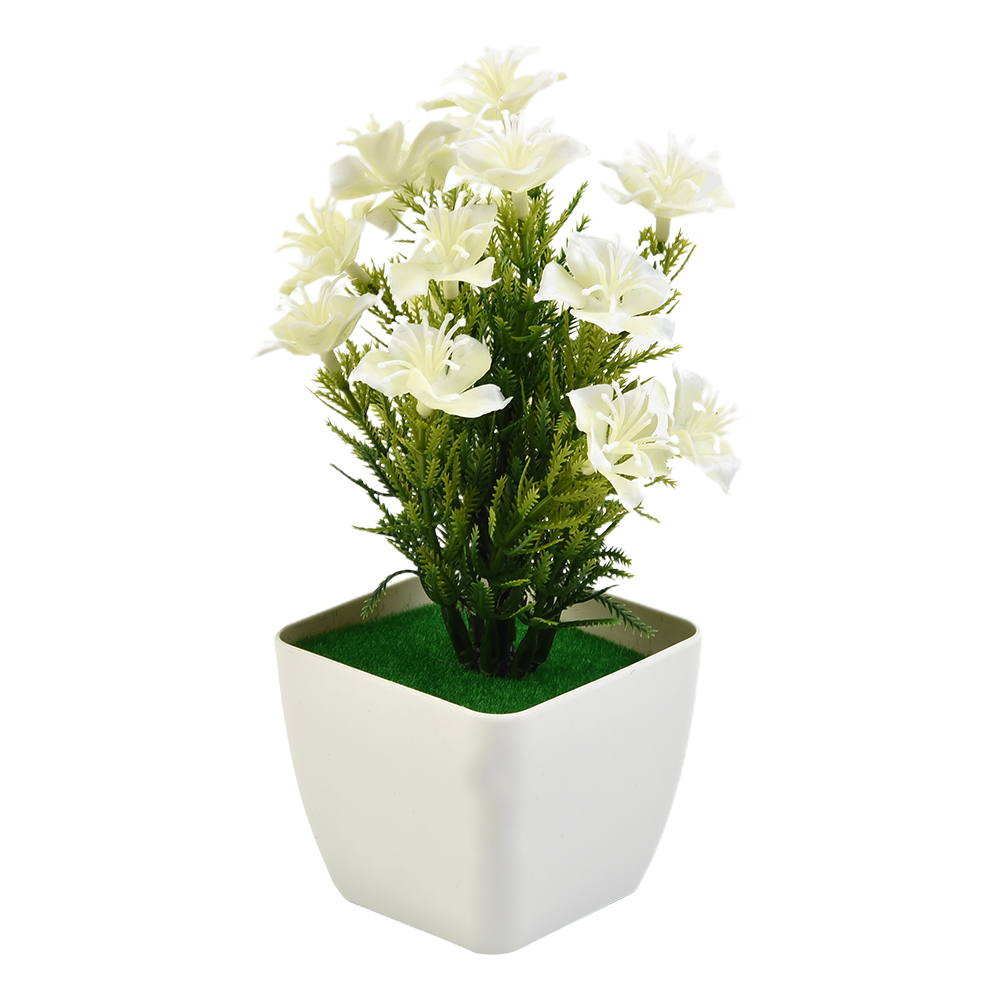 Hete Aanbieding Nieuwe Accesso - Bonsai Garden For Sale recensie en prijs