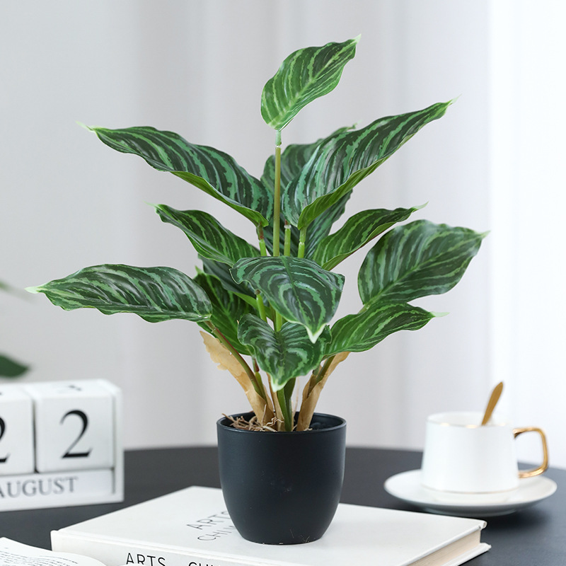 Simulatie Groene Planten Potho - Bonsai Garden Layout recensie en prijs
