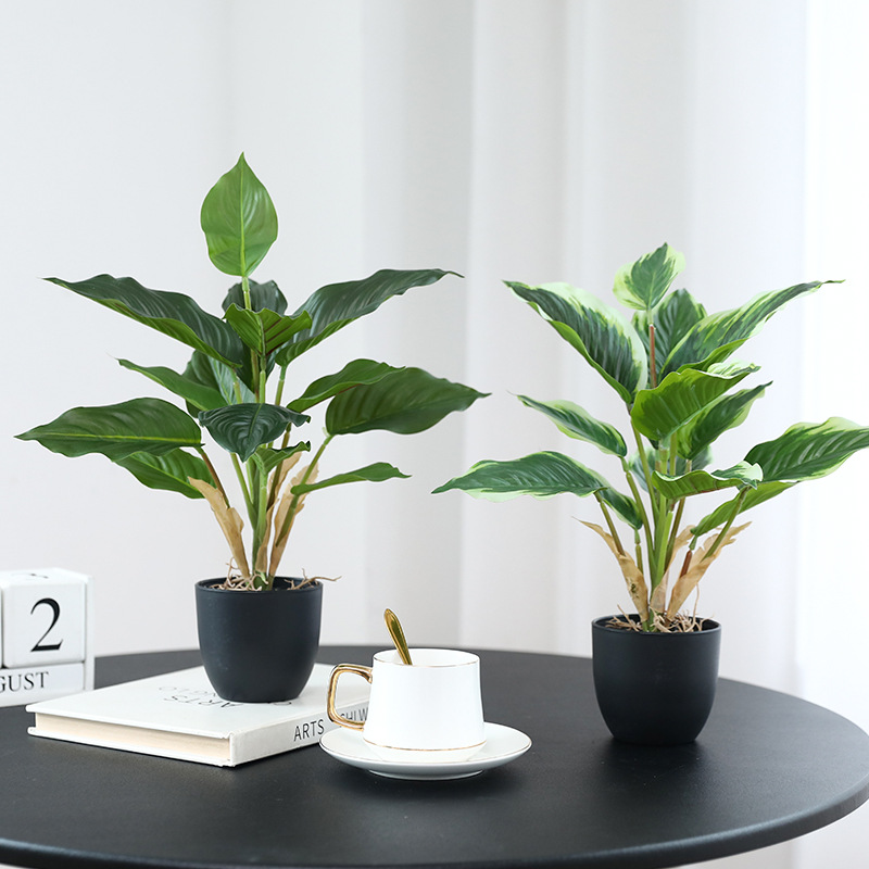 Simulatie Groene Planten Potho - Bonsai Garden Layout recensie en prijs