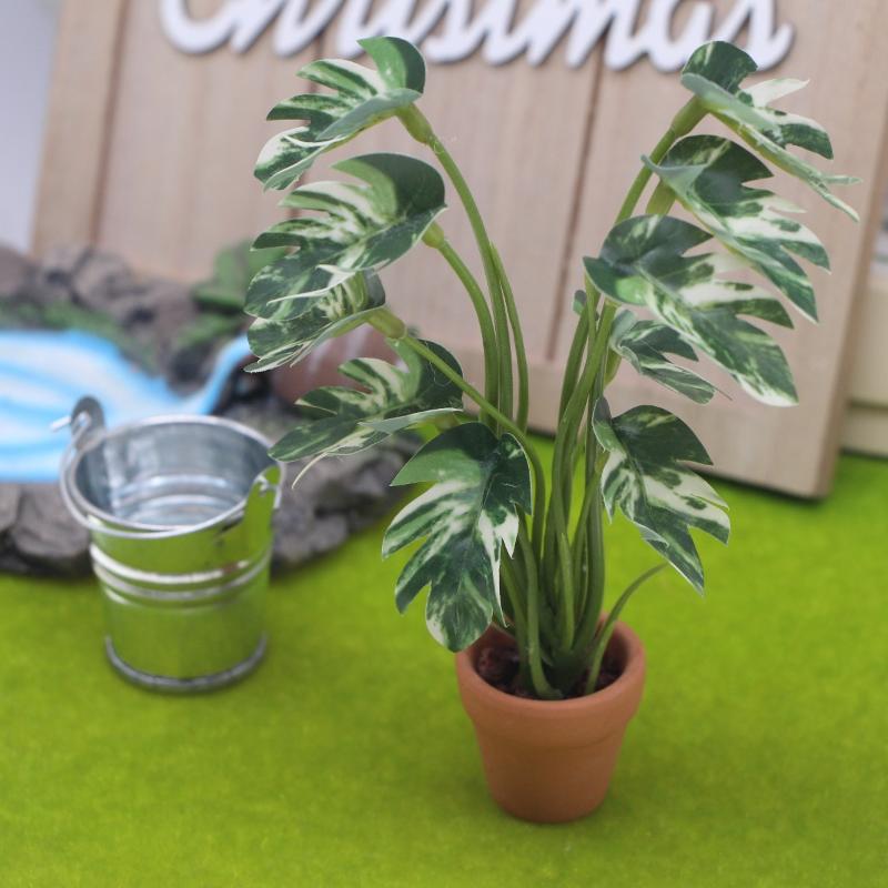 Nieuwe Verkoop 1/12 Poppenhuis - Bonsai Garden For Sale recensie en prijs