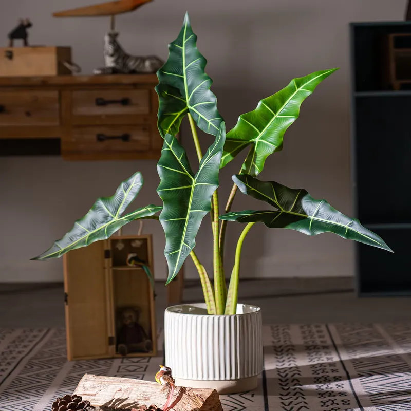 Hete Aanbieding Kleine Bonsai  - Bonsai Garden For Sale recensie en prijs