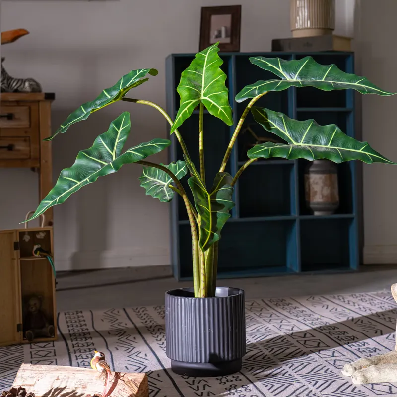 Hete Aanbieding Kleine Bonsai  - Bonsai Garden For Sale recensie en prijs