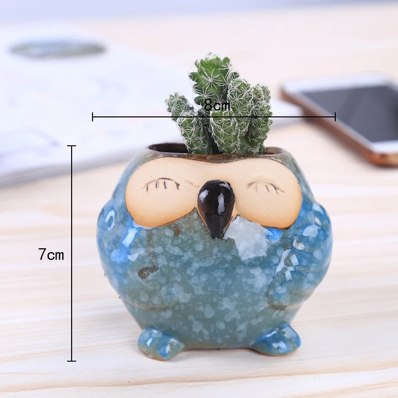 Mini keramische uil succulente - Bonsai Garden Wall recensie en prijs
