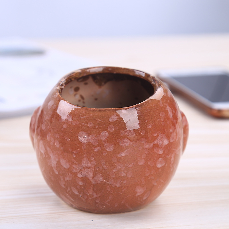 Mini keramische uil succulente - Bonsai Garden Wall recensie en prijs